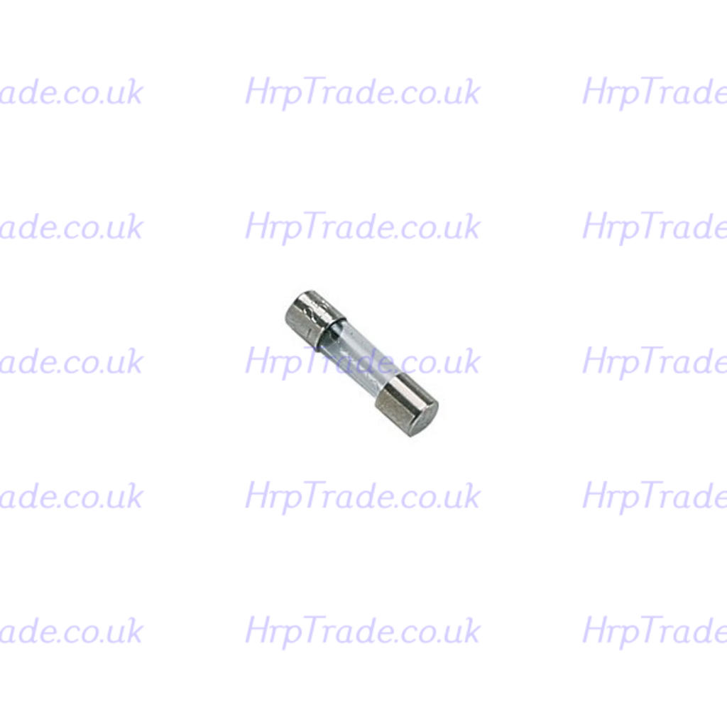 FUSE 250V 0.315A - TEMPORIZED- ARISTON  CHAFFOTEAUX