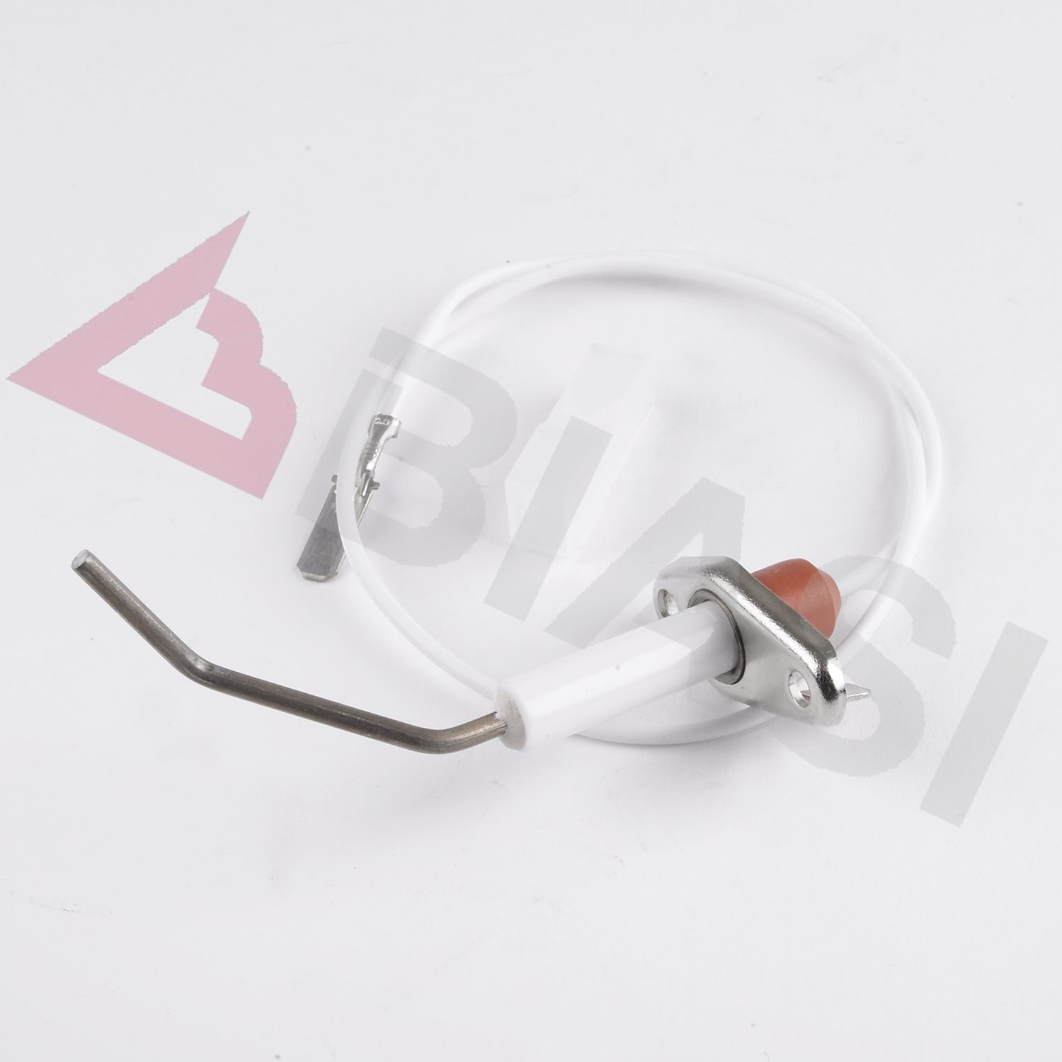 DETECTION ELECTRODE - Biasi