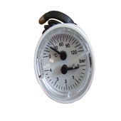 TEMPERATURE PRESSURE GAUGE - Biasi