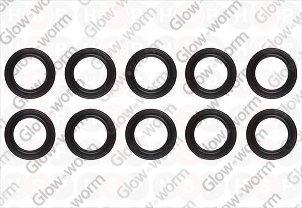 Sealing ring (PK10)