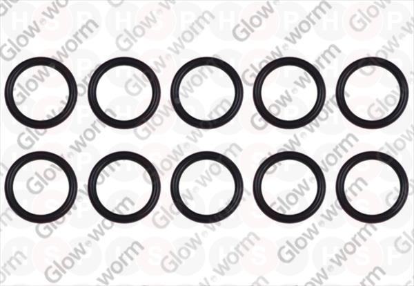 O-ring (PK10)