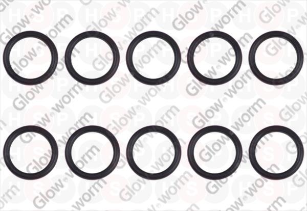 O-ring (PK10)