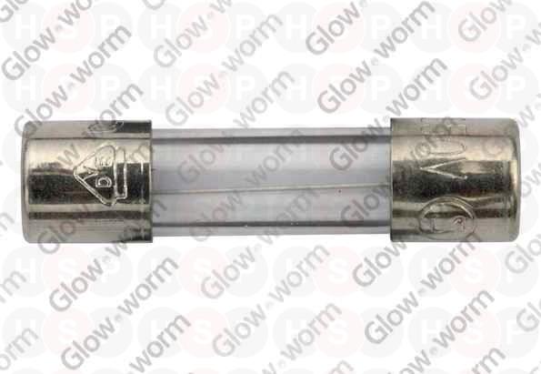 Fuse T 3.15A 250V 20mm