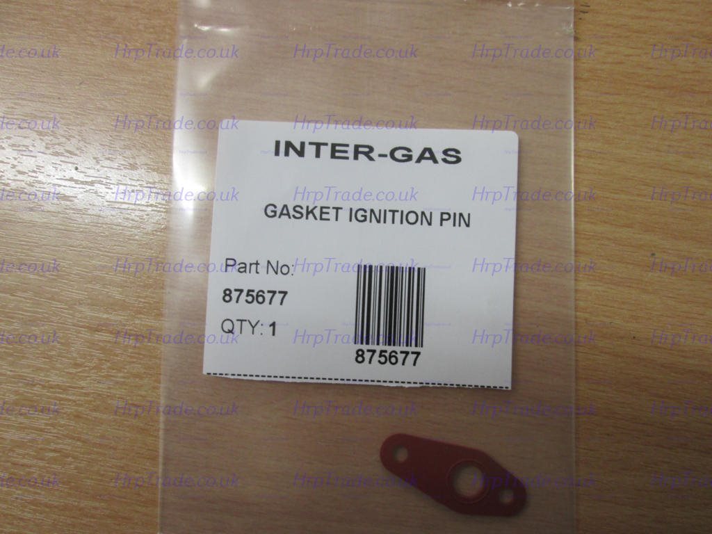 Gasket Ignition Pin