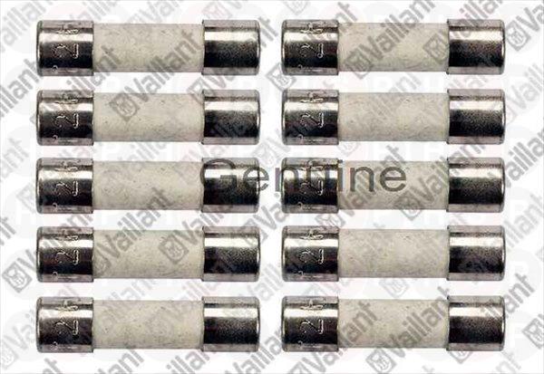 Fuse 2,0 A T2H (PK10) REPLACES 251955