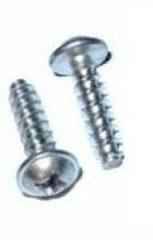 Screw