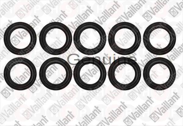 Sealing ring (PK10)
