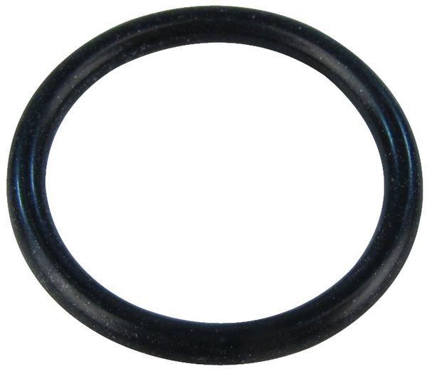 O-ring (PK10)