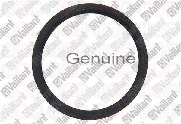 Lip seal EPDM (DN 60)
