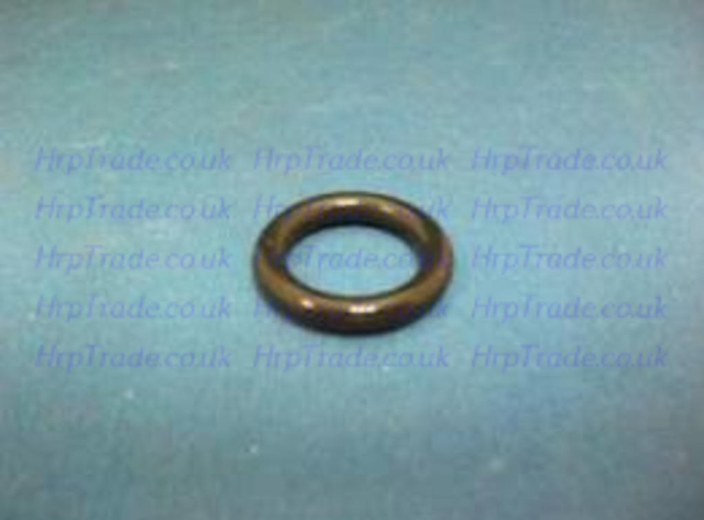 O-RING (10X)