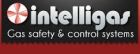 Intelligas